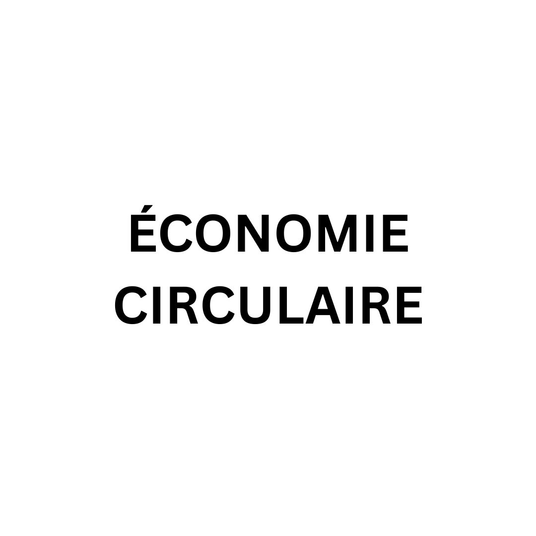 INTÉGRATION (11)